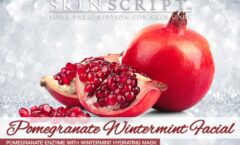 PomegranateWintermintFacial_4x6_1_HR